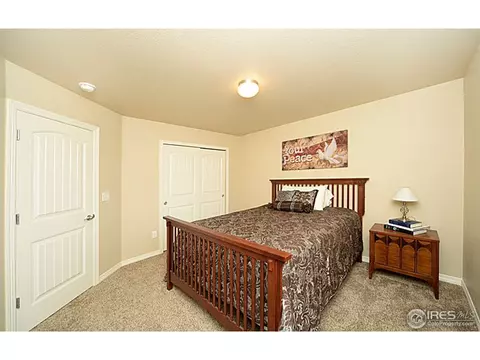 5521 Wetlands Dr, Longmont, CO 80504 photo 19