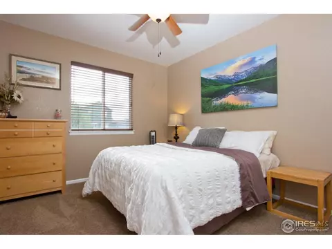 879 Cliffrose Way, Severance, CO 80550 photo 16