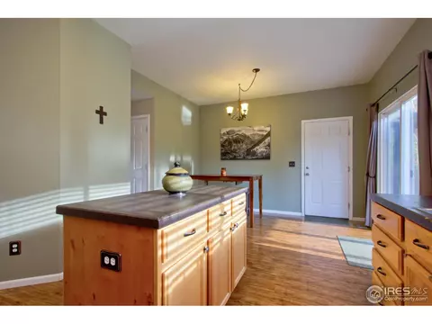 879 Cliffrose Way, Severance, CO 80550 photo 14