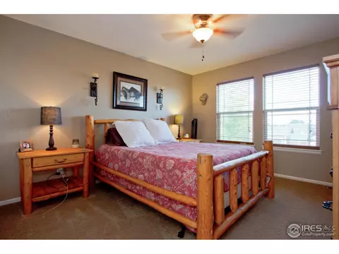 879 Cliffrose Way, Severance, CO 80550 photo 18