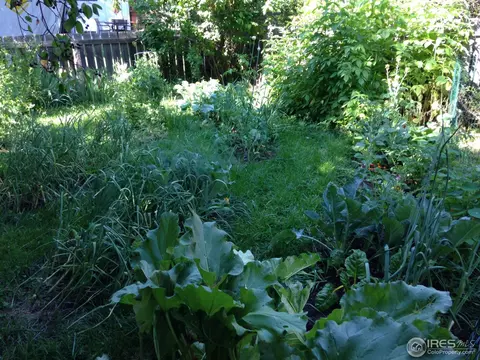 2290 Juniper Ave, Boulder, CO 80304 photo 20