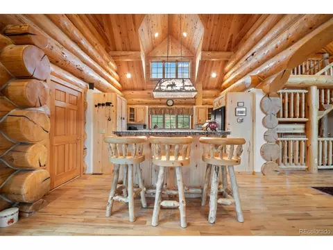 79 Six Shooter Ct, Bailey, CO 80421 photo 18