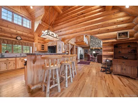 79 Six Shooter Ct, Bailey, CO 80421 photo 20