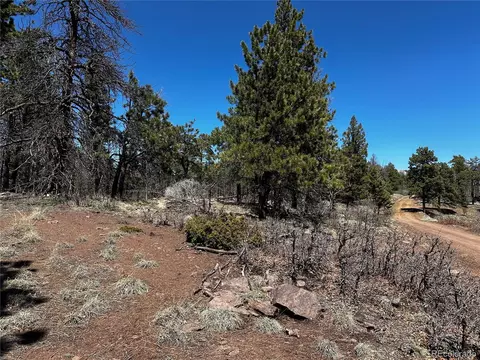 343 Brophy Dr, Fort Garland, CO 81133