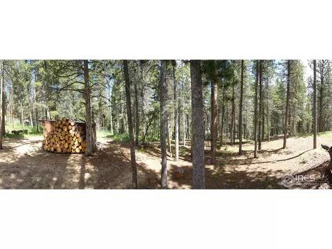 126 Dos Lobos, Black Hawk, CO 80422 photo 24