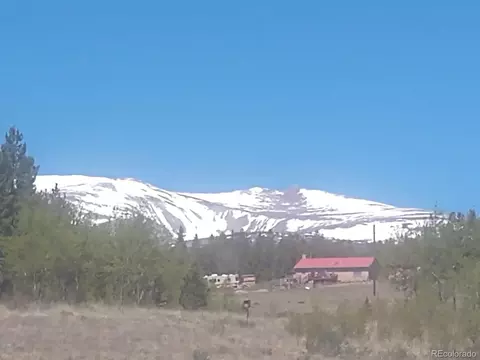 25 Wild Rye Rd, Fairplay, CO 80440