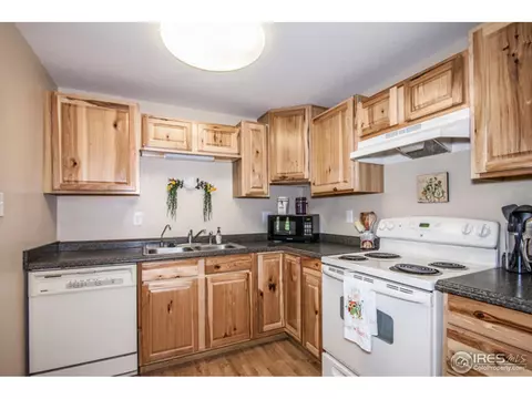 2909 Killarney Dr, Laporte, CO 80535 photo 4