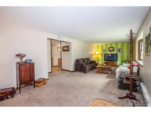 2909 Killarney Dr, Laporte, CO 80535 photo 10