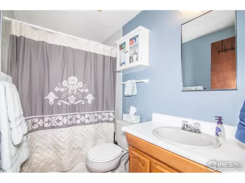 2909 Killarney Dr, Laporte, CO 80535 photo 13