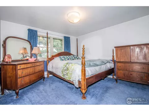 2909 Killarney Dr, Laporte, CO 80535 photo 15
