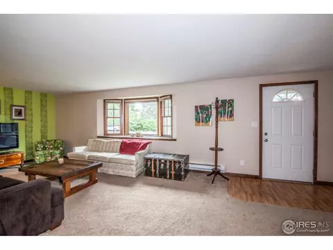 2909 Killarney Dr, Laporte, CO 80535 photo 11