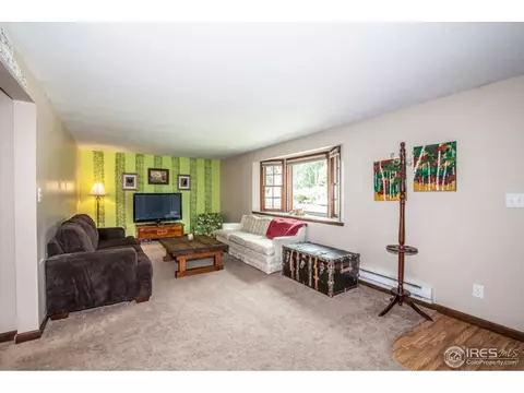 2909 Killarney Dr, Laporte, CO 80535 photo 12