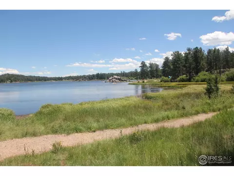 262 Eagle Tree Cir, Red Feather Lakes, CO 80545 photo 25