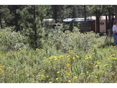 262 Eagle Tree Cir, Red Feather Lakes, CO 80545 photo 10