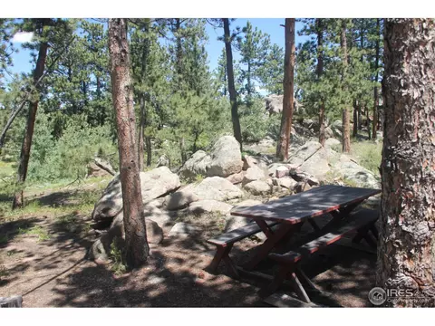 262 Eagle Tree Cir, Red Feather Lakes, CO 80545 photo 24