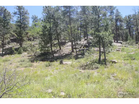 262 Eagle Tree Cir, Red Feather Lakes, CO 80545 photo 17