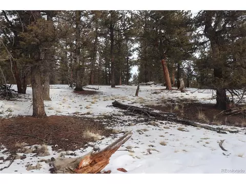 1487 Bellows Rd, Hartsel, CO 80449