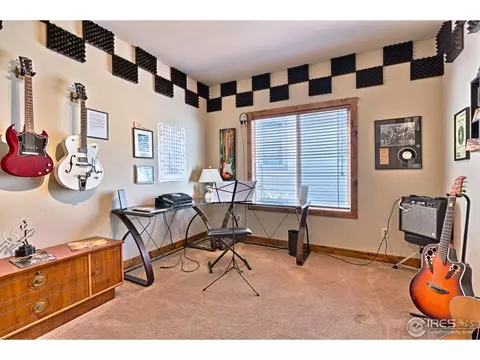 1998 Bayfront Dr, Windsor, CO 80550 photo 18