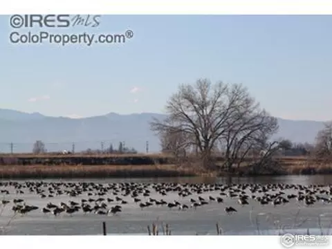 530 Main St, Windsor, CO 80550 photo 18