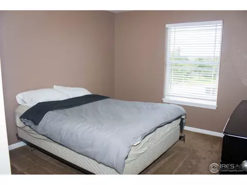 939 Cliffrose Way, Severance, CO 80550 photo 13