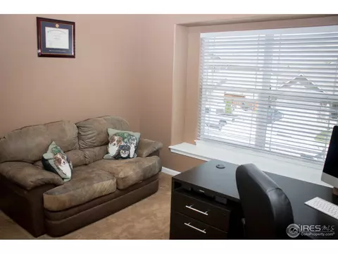939 Cliffrose Way, Severance, CO 80550 photo 14