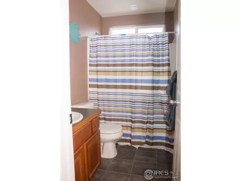 939 Cliffrose Way, Severance, CO 80550 photo 12