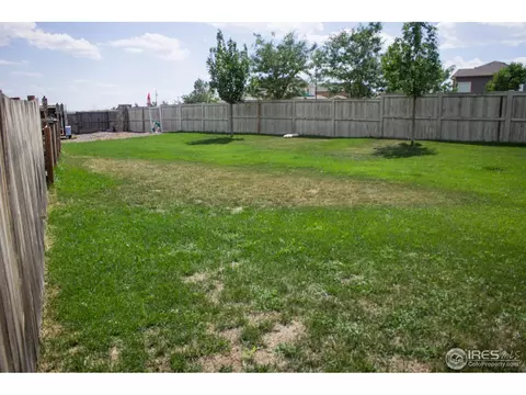 939 Cliffrose Way, Severance, CO 80550 photo 16