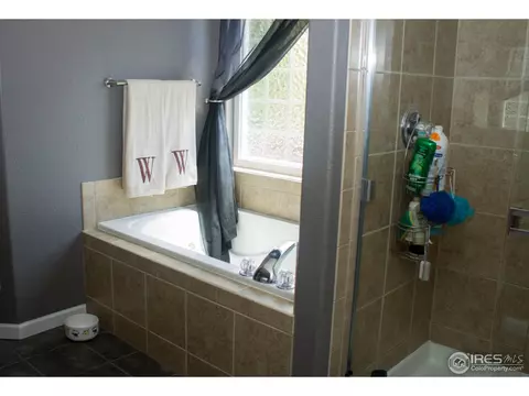 939 Cliffrose Way, Severance, CO 80550 photo 8