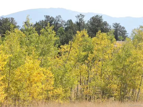 16 Buckshot Trl, Como, CO 80432 photo 28