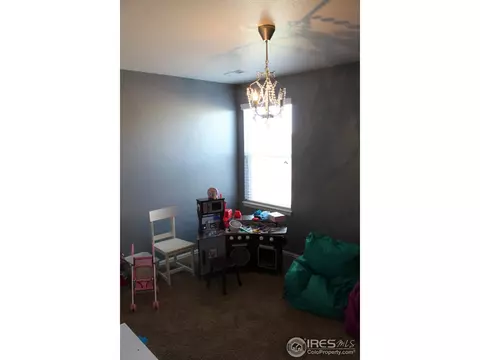 1545 Basildon Ct, Windsor, CO 80550 photo 12