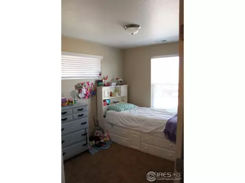 1545 Basildon Ct, Windsor, CO 80550 photo 11