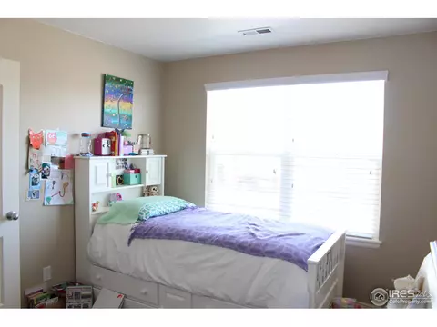 1545 Basildon Ct, Windsor, CO 80550 photo 10