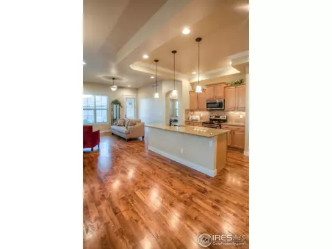 429 Crystal Beach Dr, Windsor, CO 80550 photo 22