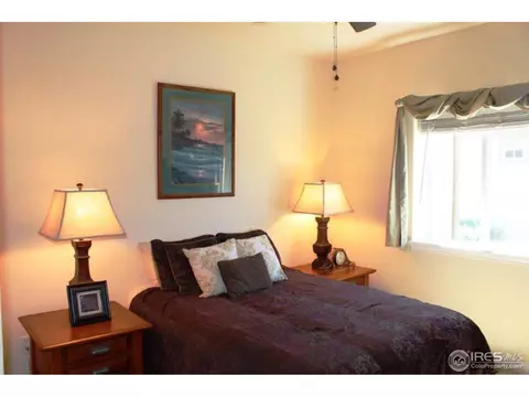 1954 Yonkee Dr, Windsor, CO 80550 photo 15