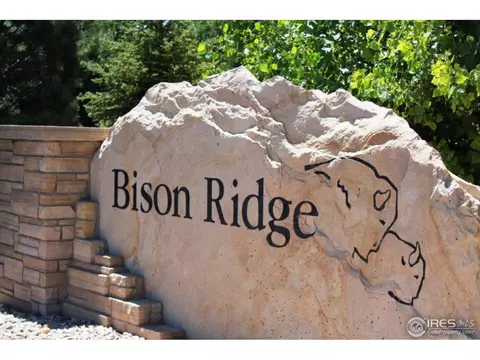 1954 Yonkee Dr, Windsor, CO 80550 photo 25
