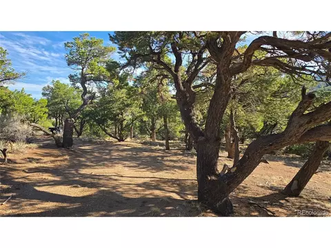 2232 Solaz Rd, Fort Garland, CO 81133
