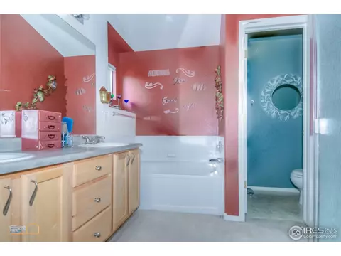 6943 Summerset Ave, Firestone, CO 80504 photo 18