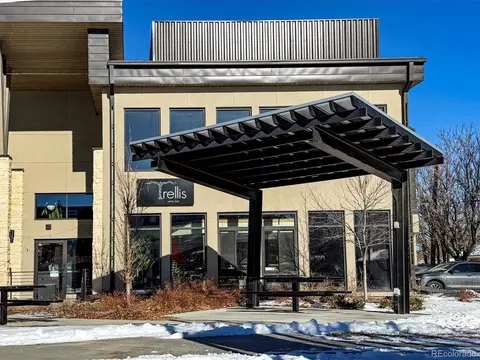 2916 Ivanhoe St, Denver, CO 80207 photo 38