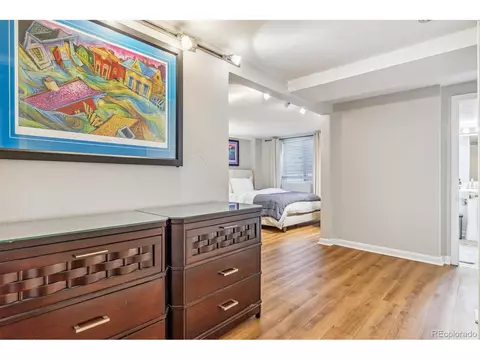 2916 Ivanhoe St, Denver, CO 80207 photo 22