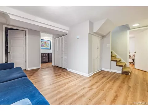 2916 Ivanhoe St, Denver, CO 80207 photo 23