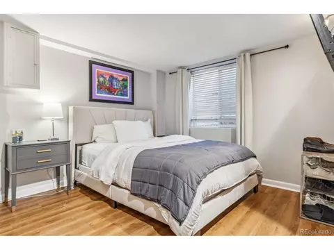 2916 Ivanhoe St, Denver, CO 80207 photo 19