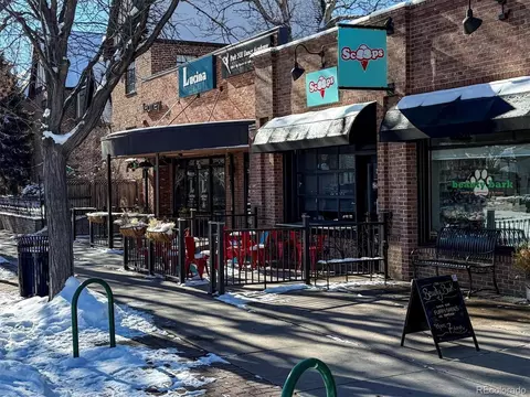 2916 Ivanhoe St, Denver, CO 80207 photo 34