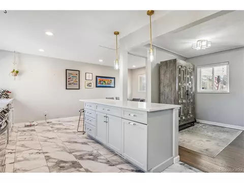 2916 Ivanhoe St, Denver, CO 80207 photo 10