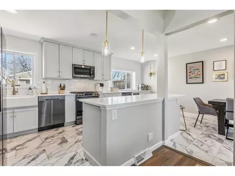 2916 Ivanhoe St, Denver, CO 80207 photo 6