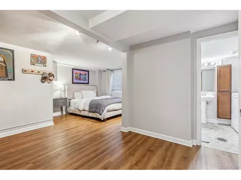 2916 Ivanhoe St, Denver, CO 80207 photo 18