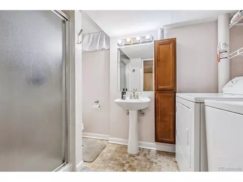 2916 Ivanhoe St, Denver, CO 80207 photo 26