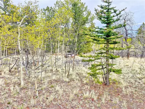 1140 Ute Trl, Como, CO 80432 photo 13