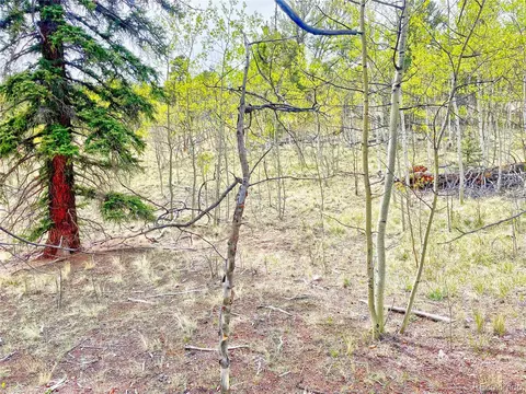 1140 Ute Trl, Como, CO 80432 photo 8