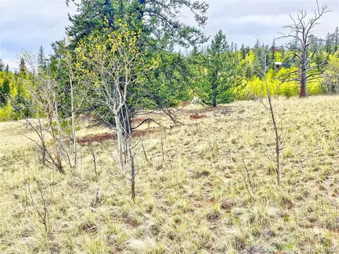 1140 Ute Trl, Como, CO 80432 photo 7