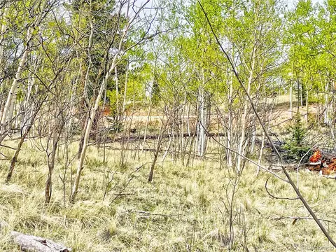 1140 Ute Trl, Como, CO 80432 photo 11